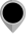 national flag icon